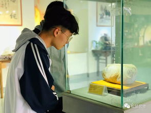 点燃激情,放飞梦想 漳浦达志中学九年级2019年研学实践活动