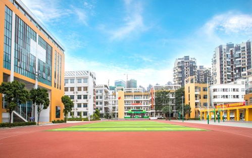 深圳市龙华区民治中学教育集团小学部