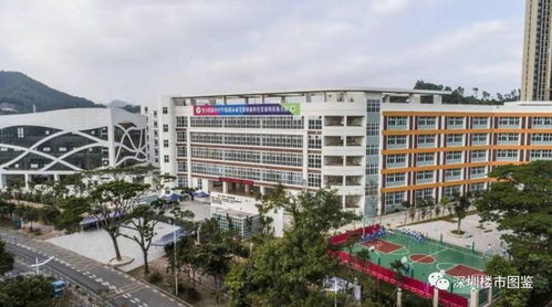深圳万科未来之光 售楼处事件背后的真相与漳浦达志中学的关联揭秘