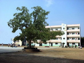 四十里街镇第一中学图册 漳浦达志中学风采