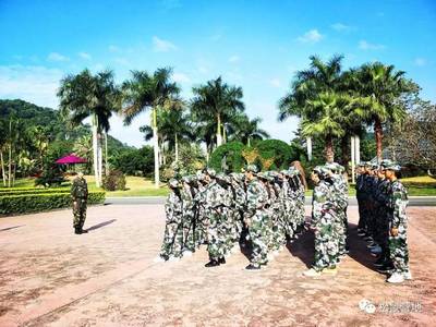 树无根不长，人无志不立——漳浦达志中学东南花都研学实践记